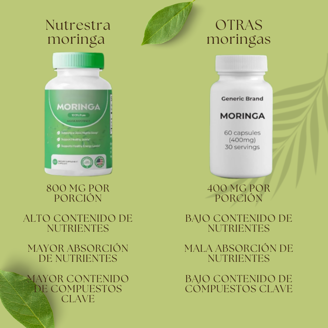 🍃Suplemento de Moringa - 60 Caps | Fórmula Premium🍃
